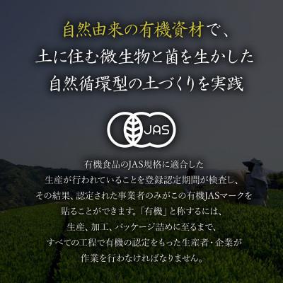 ふるさと納税 藤枝市 有機煎茶ティーバッグ2.5g×15包　5袋セット |  | 02