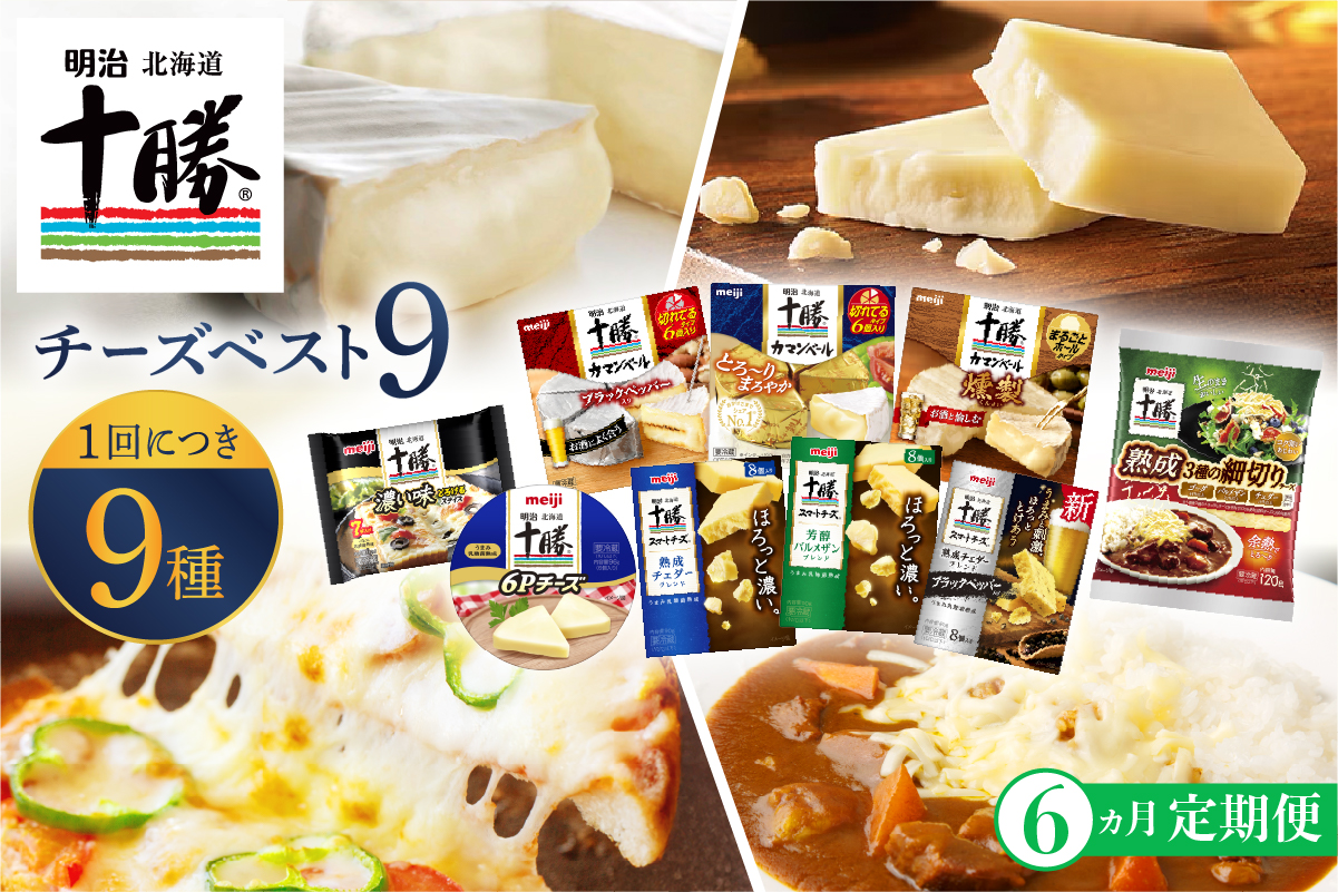 【6ヵ月定期便】明治北海道十勝チーズ 新・ベスト9 食べ比べセット me003-106-t6c
