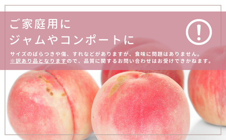 桃 先行予約 桃 自家用 約5kg 品種おまかせ 桃 新潟県 桃 三条市産 桃  [石田フルーツガーデン] 