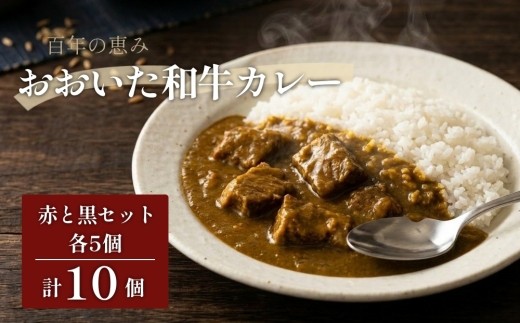 
                  百年の恵み おおいた和牛カレー 赤と黒セット 各5個 計10個
                