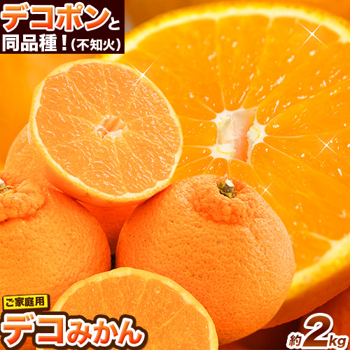 ご家庭用 デコみかん 約2kg 前後 (約4-10玉前後)《2027年2月上旬-4月上旬頃出荷》デコポン（不知火）と同品種 熊本県産 熊本県 長洲町 訳あり