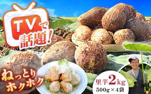 【メディア多数掲載！開成弥一芋】ホクホクねっとりやわらか〜い里芋 2キロ【文命農業】開成町 サトイモ さといも 野菜 [BDAX002]