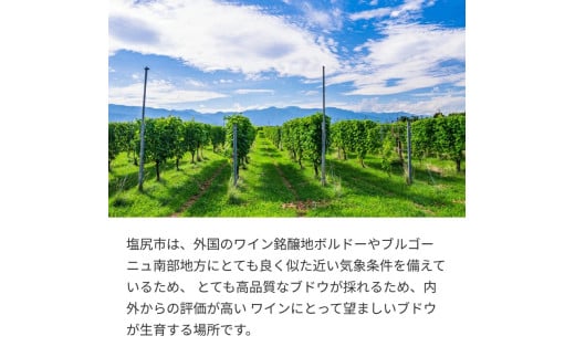 井筒ワイン カベルネソーヴィニヨン樽熟｜井筒ワイン ソーヴィニヨン種 赤 樽熟成 辛口 長野県 塩尻市