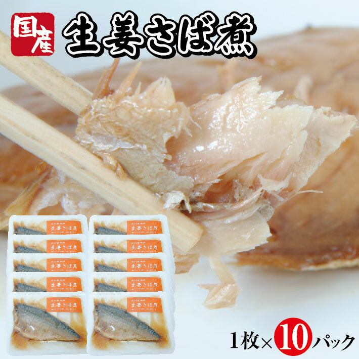 【ふるさと納税】国産生姜さば煮 1枚×10パック サバ 生姜 常温保存 ご飯のおとも