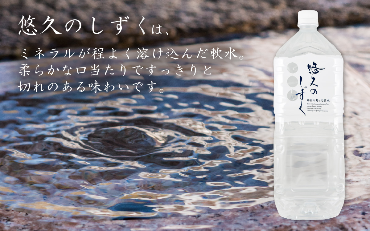 【12ヶ月連続お届け】越前大野の天然水　悠久のしずく 2L 6本 計72本[H-036001]