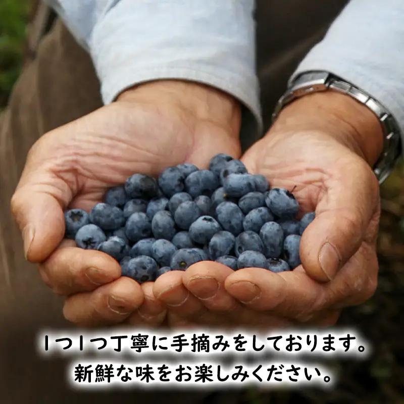 【2025年夏配送】生 ブルーベリー 計800g (400g×2パック)