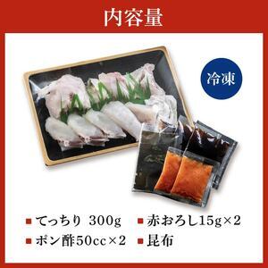 【12月配送 指定日可】 とらふぐ 鍋セット 2-3人前 玄品のとらふぐ てっちり