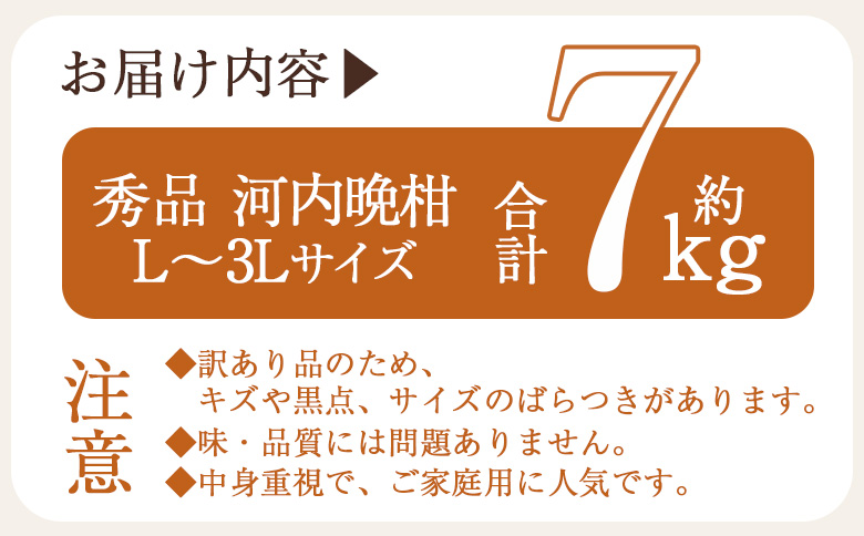 ＜秀品 河内晩柑 (L～3Lサイズ) 約7kg＞『2026年4月中旬から順次出荷予定』かわちばんかん 丸二青果 愛媛県西予市