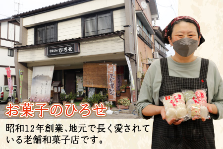 越前大野 杵つきもち「白丸餅」計24個～大野のお米と名水でつきあげた手造りのお餅～【※12月15日までの入金確認分は年内配送】保存料香料 不使用