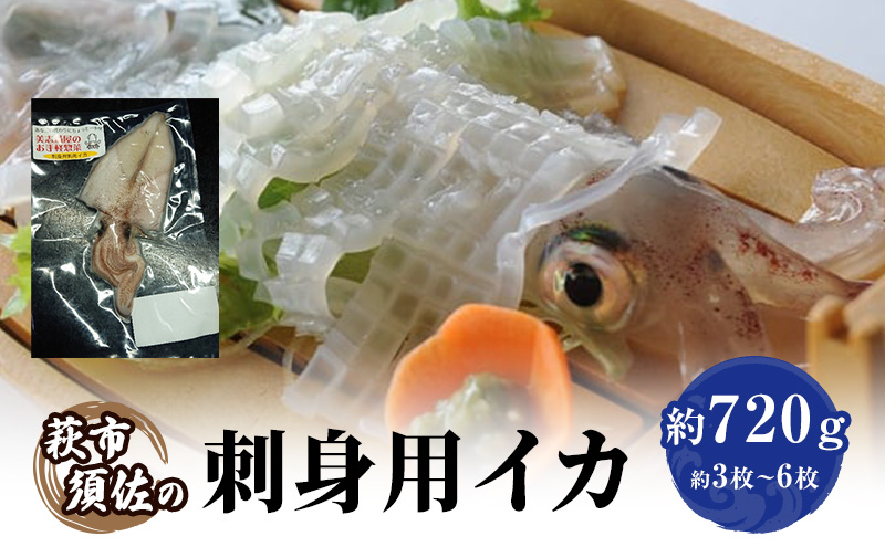 イカ 刺身用 約720g 烏賊 いか 魚介 魚介類