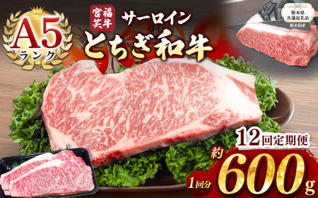 【栃木県共通返礼品】【定期便12回】宮福笑牛(とちぎ和牛) A5 サーロインステーキ　約200gx3枚  | 栃木県 下野市