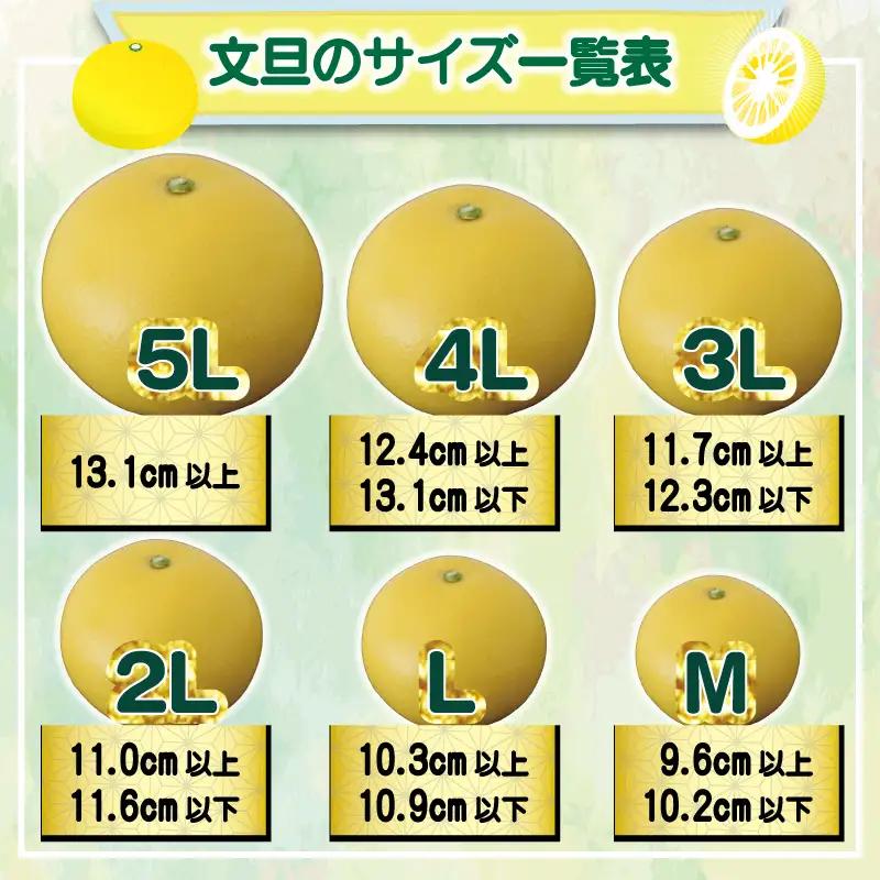 文旦 芳醇な 土佐文旦 5kg 家庭用