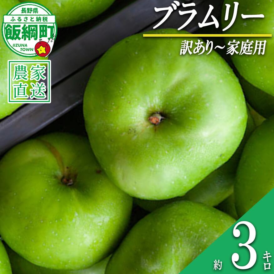 【ふるさと納税】 りんご ブラムリー 3kg 訳あり 〜 家庭用 静谷りんご園 沖縄県への配送不可 〔 果物 フルーツ 林檎 長野 予約 農家直送 3キロ 11000円 〕【令和8年度収穫分】 発送：2026年8月中旬〜