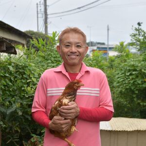 カステラ 縁-En-カステラ 250g | 川端産業