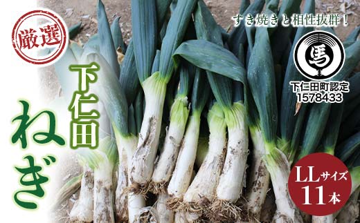 
            厳選！下仁田葱（LLサイズ 11本） とろける 甘い ねぎ ネギ 王様ねぎ 特産 栄養たっぷり ブランド 上州ねぎ すきやき F21K-594
          