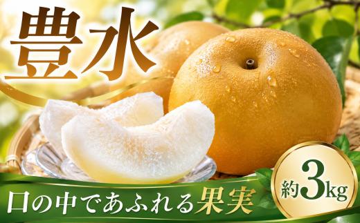 梨 豊水 約3kg 【2026年8月20日より発送開始】 先行予約 8玉 ～ 10玉 なし ナシ 水郷梨 ほうすい ホウスイ 果物 果実 くだもの 甘い デザート フルーツ スイーツ 平山梨園 千葉県 香取市 HRN001