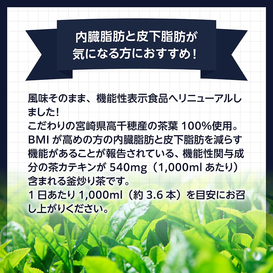 【6ヶ月定期便】 サンA 濃い味釜炒り茶(機能性表示食品)PET（280ml×48本） 【 お茶 釜炒り茶 飲料お茶 ペットボトルお茶 長期保存お茶 備蓄お茶 】[D03006t6]