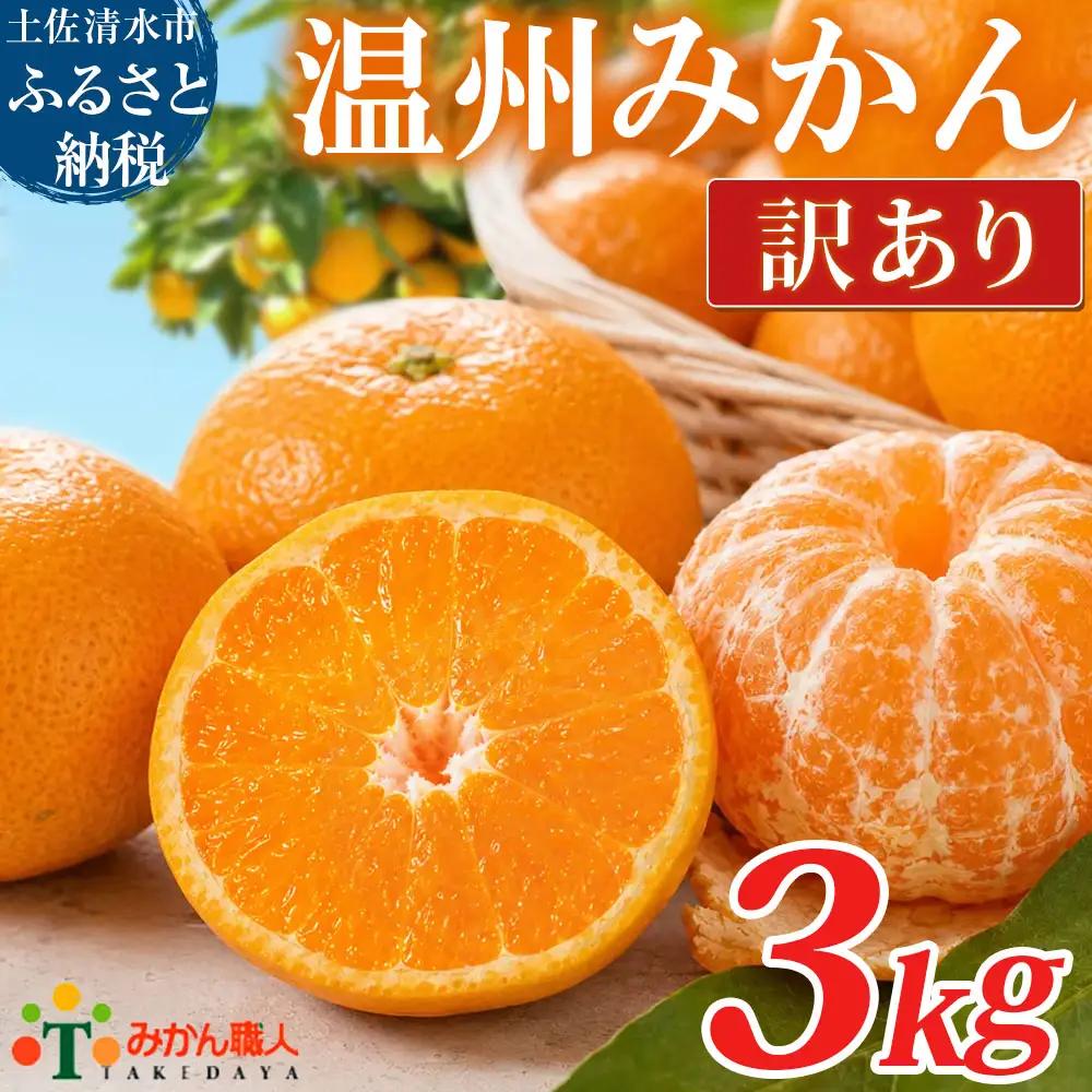 みかん 訳あり 3kg 傷み補償 300g 温州 みかん職人武田屋【R01787】