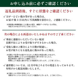 《先行予約》《年内発送》12月配送 幻のねぎ 難波葱 2kg ねぎ 葱 鍋 青ねぎ 白ねぎ 野菜 旬 やさい 産地直送 採れたて 直送 フルーツ 果物 と同糖度 なにわ 伝統野菜 鍋セット 河内 大阪