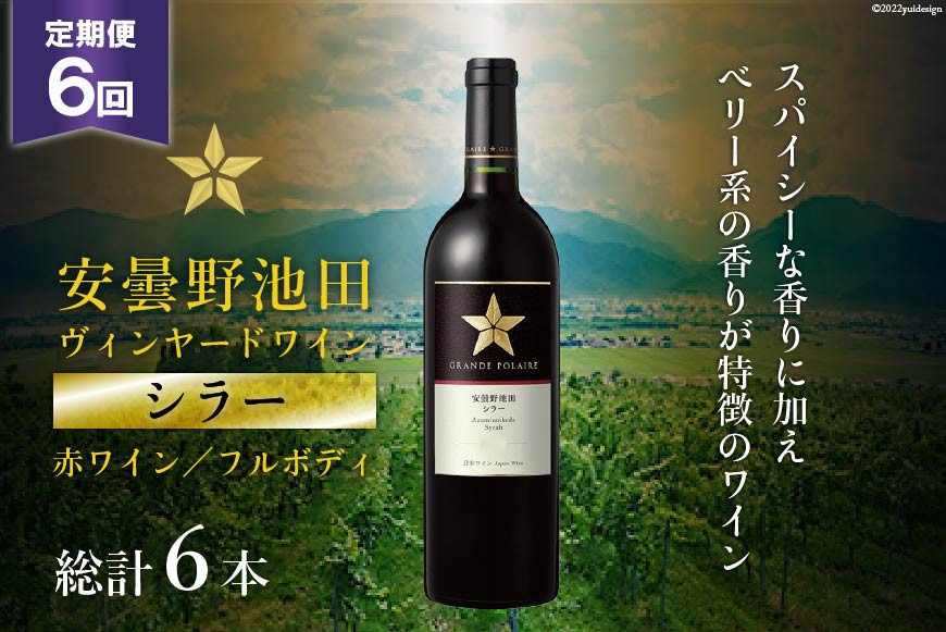 
ワイン 赤 定期便 6回 サッポロ グランポレール 安曇野池田ヴィンヤード「シラー」750ml 総計6本 赤ワイン フルボディ ギフト プレゼント 贈答 / 池田町ハーブセンター / 長野県 池田町
