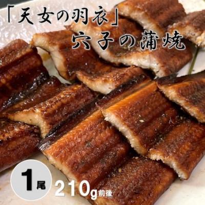 ふるさと納税 大田市 「天女の羽衣」あなご 蒲焼 1尾 210g　(A105)