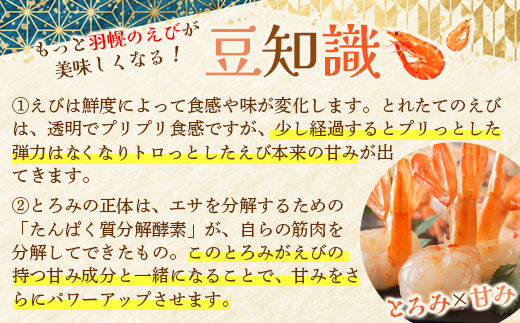 訳あり ぼたんえび 1kg 小サイズ 75尾前後 | ボタンエビ ぼたんえび えび エビ 刺身 魚介 冷凍 北海道 ふるさと納税 羽幌町 羽幌【0512402】