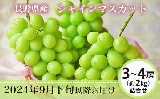 
            J0822 長野市産シャインマスカット3～4房（約2kg）【2025年9月中旬以降の出荷分】（本気農場いけだ）
          