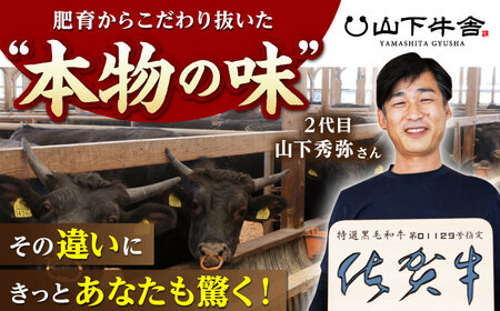 【A5ランクをお届け】佐賀牛 カルビ 焼肉用 400g【山下牛舎】黒毛和牛 牛肉 BBQ バーベキュー [HAD053] 佐賀牛 牛肉 黒毛和牛 佐賀牛 牛肉 牛肉 焼肉 佐賀牛 牛肉 BBQ 佐賀牛