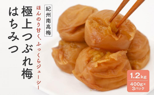 
紀州南高梅　極上つぶれ梅　はちみつ1.2ｋｇ（400ｇ×３個）
