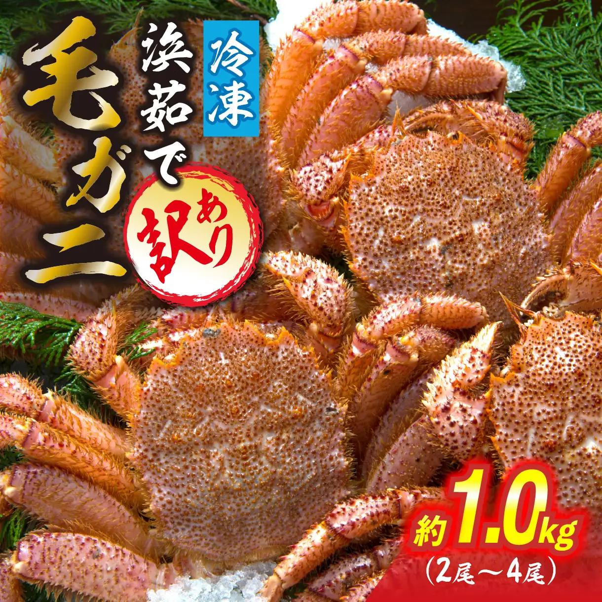 訳あり 北海道産 毛ガニ ＜ 冷凍 ＞ ボイル 約 1kg （ 2～4尾 ） 毛蟹 毛がに かに カニ 蟹 かに味噌 カニ味噌 海鮮 海産物 わけあり 訳アリ 冷凍便