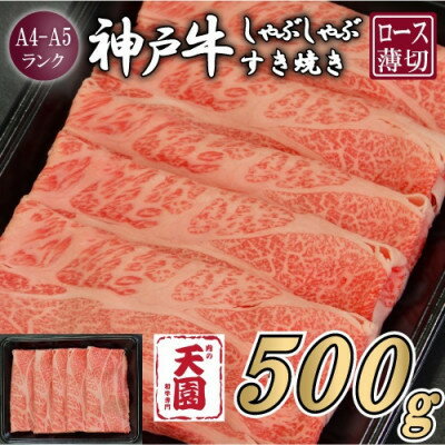 【ふるさと納税】【ふるさと納税】【肉の天園】神戸牛 霜降り ロース(肩ロース)しゃぶしゃぶすき焼き500g【配送不可地域：離島】【1713968】