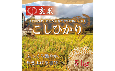 令和7年 鳥取県産 山崎農園こしひかり玄米5kg