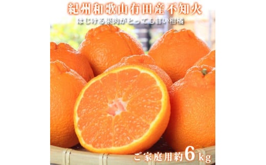 ［ご家庭用訳あり］紀州有田産不知火(しらぬひ) 約6kg［2026年2月中旬以降発送］［先行予約］［UT136］