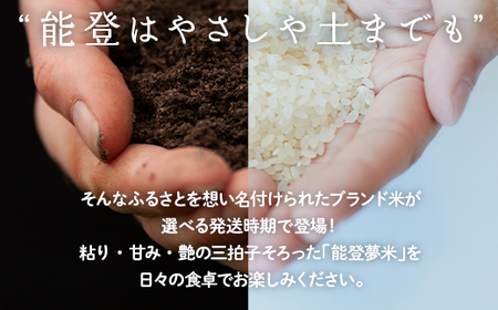 【発送時期が選べる】【新米】令和7年産 能登産 にじのきらめき 能登夢米15kg（精米5kg×3袋）｜お米 白米 精米  にじのきらめき ブランド米 石川県 七尾市 能登 復興 復興支援 ※2025年