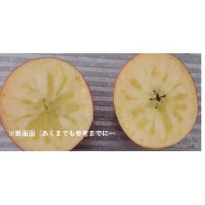 青森県産りんご　「はあと」こうとく 3K箱【1539474】