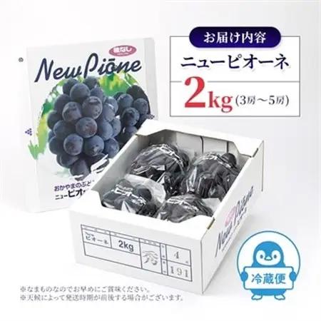 晴れの国　おかやまのニューピオーネ　2kg(3房～5房)_果物・フルーツ ぶどう・マスカット  ブドウ 葡萄 _【配送不可地域：離島】【1074126】