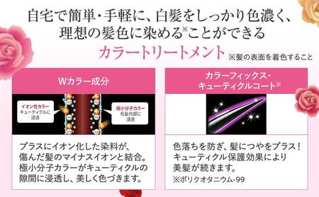 DHC Q10プレミアムカラートリートメント【ブラック】 AKH0001VC01