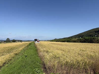 【ふるさと納税】わっさむのおこめ「ななつぼし」10kg