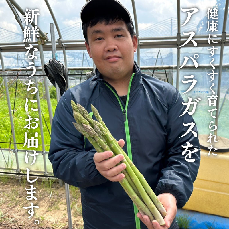 【R8年産先行予約】アスパラガス  1kg  約 40本 野菜 旬 野菜 期間限定 数量限定 甘い 太い 柔らかい 特産品 nozofarm001_01