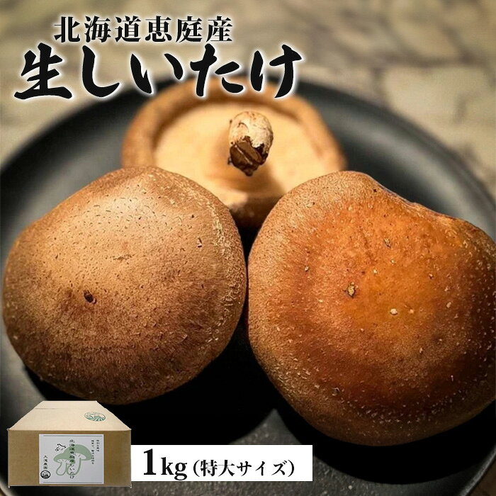 【ふるさと納税】北海道恵庭産 生しいたけ 1kg 25個前後 数量限定 特大サイズ オンライン 申請 ふるさと納税 北海道 恵庭 生椎茸 しいたけ 椎茸 菌床 きのこ 栄養満点 肉厚 濃厚 採れたて 野菜 大きい椎茸 恵庭市【800004】