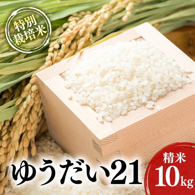 【ふるさと納税】特別栽培米 「 ゆうだい21 」 精米 10kg　お届け：2025年11月上旬～2026年10月上旬まで