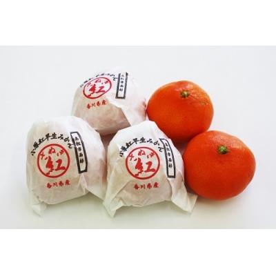 ふるさと納税 多度津町 『越冬小原紅早生みかん』約3kg【令和8年1月頃より発送!】【B-33】