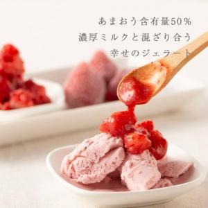 武下さんちの完熟あまおう50％ミルクジェラート ６カップセット 赤いVIPボックスに入れて！