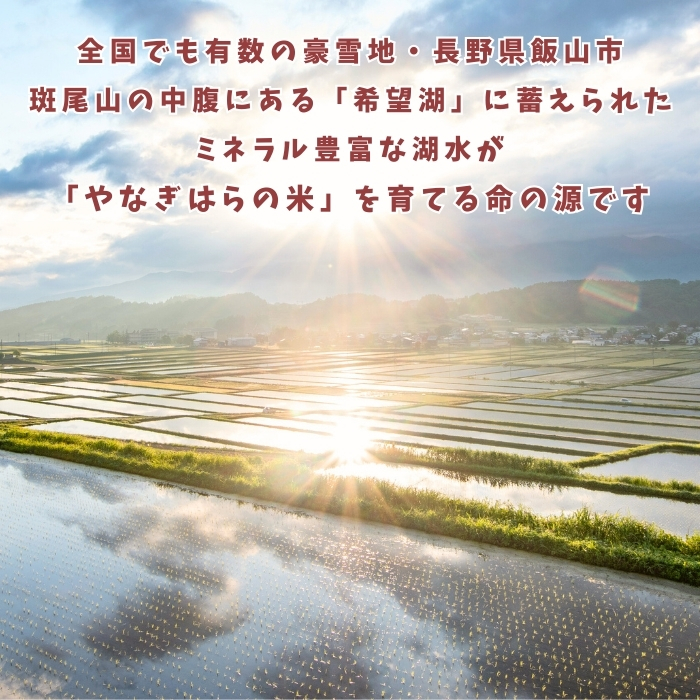 【先行予約】＜令和7年産新米＞特別栽培米 「やなぎはらの米 こしひかり」10㎏ (7-68) 10kg