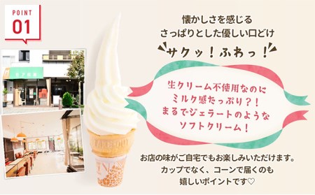 ソフトクリーム 6個  アイスクリーム アイス
