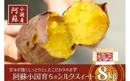 【下巣畑農産】熟成 シルクスィート 8kg 令和7年産 さつま芋 唐芋 長期貯蔵 産地直送 まとめ買い サイズおまかせ 九州産 熊本産 小国産 地場産 スイーツ 蜜芋 贈答 ご家庭用 焼き芋 スィートポテト 高糖度 GAP認証 6次産業認定 認定農家 常温配送