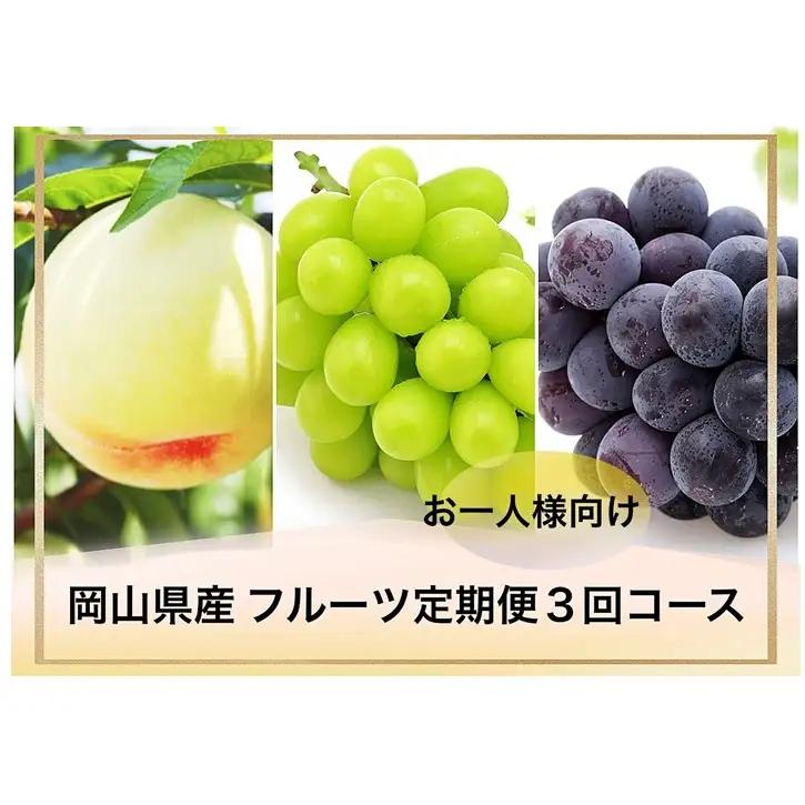 フルーツ定期便 桃 ぶどう お一人様向け 岡山県産 フルーツ定期便【3回コース】【先行予約】