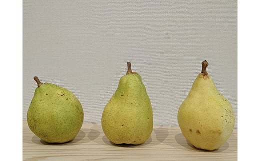
中川村産西洋梨「ル・レクチェ」　３Kg箱
