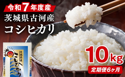 【定期便 6か月】令和5年産 古河市産コシヒカリ 10kg_DP44 ｜ 米 こめ コメ こしひかり 単一米 国産