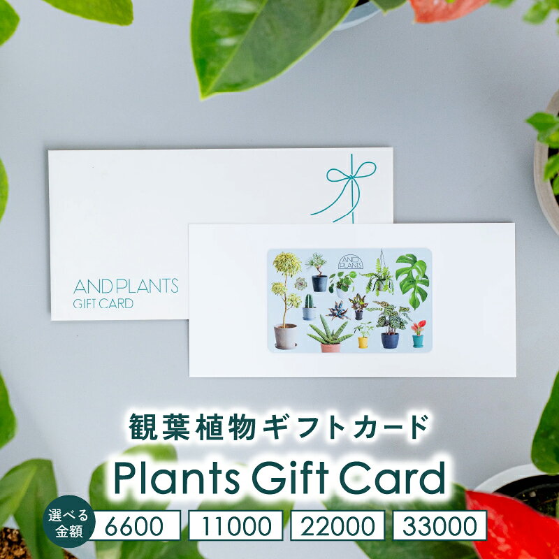 【ふるさと納税】【選べる観葉植物ギフトカード】Plants Gift Card